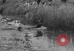 Standbild jährliche Saint Hubert's Hunt Compiegne Frankreich, 1938, aus Sekunde 27 historischem Filmmaterial Videoclip 65675043744