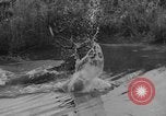 Standbild jährliche Saint Hubert's Hunt Compiegne Frankreich, 1938, aus Sekunde 31 historischem Filmmaterial Videoclip 65675043744