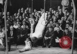 Immagine di Campionato di ginnastica Germania, 1961, secondo 45 filmato di repertorio 65675043756