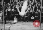 Immagine di Campionato di ginnastica Germania, 1961, secondo 53 filmato di repertorio 65675043756