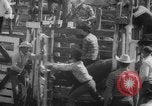 Image of Rodeo Show Texas United States USA, 1961, second 8 stock footage video 65675043757