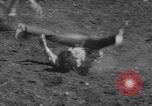 Image of Rodeo Show Texas United States USA, 1961, second 13 stock footage video 65675043757