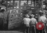 Image of Rodeo Show Texas United States USA, 1961, second 16 stock footage video 65675043757