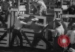Image of Rodeo Show Texas United States USA, 1961, second 23 stock footage video 65675043757