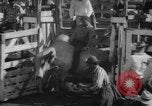 Image of Rodeo Show Texas United States USA, 1961, second 24 stock footage video 65675043757