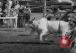 Image of Rodeo Show Texas United States USA, 1961, second 31 stock footage video 65675043757