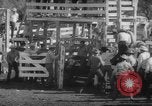 Image of Rodeo Show Texas United States USA, 1961, second 34 stock footage video 65675043757