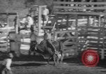 Image of Rodeo Show Texas United States USA, 1961, second 35 stock footage video 65675043757