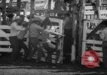 Image of Rodeo Show Texas United States USA, 1961, second 40 stock footage video 65675043757