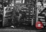 Image of Rodeo Show Texas United States USA, 1961, second 41 stock footage video 65675043757