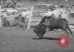 Image of Rodeo Show Texas United States USA, 1961, second 49 stock footage video 65675043757