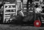 Image of Rodeo Show Texas United States USA, 1961, second 56 stock footage video 65675043757