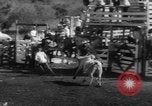 Image of Rodeo Show Texas United States USA, 1961, second 59 stock footage video 65675043757