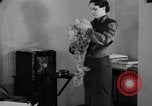 Image of office wife prepares meal Chicago Illinois USA, 1936, second 24 stock footage video 65675043759