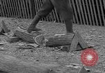 Standbild woodchoppers Skytop Pennsylvania USA, 1936, aus Sekunde 34 historischem Filmmaterial Videoclip 65675043763