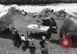 Standbild Zwerg Trainer San Diego California USA, 1936, aus Sekunde 10 historischem Filmmaterial Videoclip 65675043765