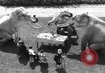 Standbild Zwerg Trainer San Diego California USA, 1936, aus Sekunde 11 historischem Filmmaterial Videoclip 65675043765