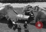 Standbild Zwerg Trainer San Diego California USA, 1936, aus Sekunde 13 historischem Filmmaterial Videoclip 65675043765