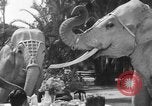 Standbild Zwerg Trainer San Diego California USA, 1936, aus Sekunde 15 historischem Filmmaterial Videoclip 65675043765