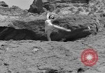 Standbild junge Frauen Phoenix Arizona USA, 1936, aus Sekunde 49 historischem Filmmaterial Videoclip 65675043766