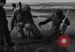 Immagine di Raccolta delle vongole Ocean City Washington USA, 1936, secondo 17 filmato di repertorio 65675043769