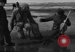 Immagine di Raccolta delle vongole Ocean City Washington USA, 1936, secondo 18 filmato di repertorio 65675043769