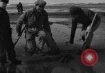 Immagine di Raccolta delle vongole Ocean City Washington USA, 1936, secondo 19 filmato di repertorio 65675043769