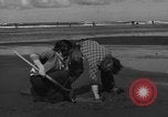 Immagine di Raccolta delle vongole Ocean City Washington USA, 1936, secondo 22 filmato di repertorio 65675043769