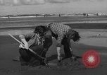 Immagine di Raccolta delle vongole Ocean City Washington USA, 1936, secondo 23 filmato di repertorio 65675043769