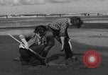 Immagine di Raccolta delle vongole Ocean City Washington USA, 1936, secondo 24 filmato di repertorio 65675043769