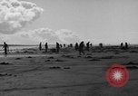 Immagine di Raccolta delle vongole Ocean City Washington USA, 1936, secondo 27 filmato di repertorio 65675043769