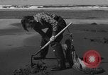 Immagine di Raccolta delle vongole Ocean City Washington USA, 1936, secondo 29 filmato di repertorio 65675043769
