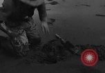 Immagine di Raccolta delle vongole Ocean City Washington USA, 1936, secondo 31 filmato di repertorio 65675043769