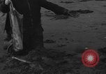 Immagine di Raccolta delle vongole Ocean City Washington USA, 1936, secondo 36 filmato di repertorio 65675043769