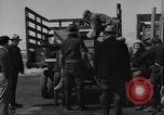 Immagine di Raccolta delle vongole Ocean City Washington USA, 1936, secondo 37 filmato di repertorio 65675043769