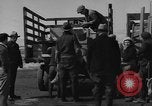 Immagine di Raccolta delle vongole Ocean City Washington USA, 1936, secondo 38 filmato di repertorio 65675043769