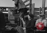 Immagine di Raccolta delle vongole Ocean City Washington USA, 1936, secondo 41 filmato di repertorio 65675043769
