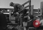 Immagine di Raccolta delle vongole Ocean City Washington USA, 1936, secondo 42 filmato di repertorio 65675043769