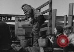 Immagine di Raccolta delle vongole Ocean City Washington USA, 1936, secondo 45 filmato di repertorio 65675043769