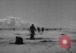 Immagine di Raccolta delle vongole Ocean City Washington USA, 1936, secondo 46 filmato di repertorio 65675043769