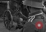 Image Adolf Hitler Berlin Allemagne, 1936, de la seconde 57 séquences d'archives historiques vidéo 65675043772
