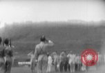 Immagine di Il generale de Lattre de Tasigny Dong-Trieu Vietnam, 1951, secondo 23 filmato di repertorio 65675043783