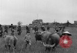 Image of French troops Vietnam, 1951, second 33 stock footage video 65675043786