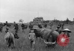 Image of French troops Vietnam, 1951, second 34 stock footage video 65675043786