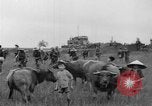 Image of French troops Vietnam, 1951, second 35 stock footage video 65675043786