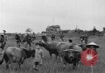 Image of French troops Vietnam, 1951, second 36 stock footage video 65675043786