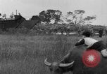 Image of French troops Vietnam, 1951, second 42 stock footage video 65675043786