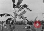 Image of Vietnamese troops Vietnam, 1951, second 16 stock footage video 65675043787