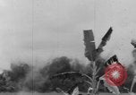 Image of Vietnamese troops Vietnam, 1951, second 42 stock footage video 65675043787