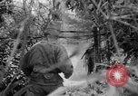 Image of Vietnamese troops Vietnam, 1951, second 29 stock footage video 65675043788